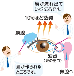 涙